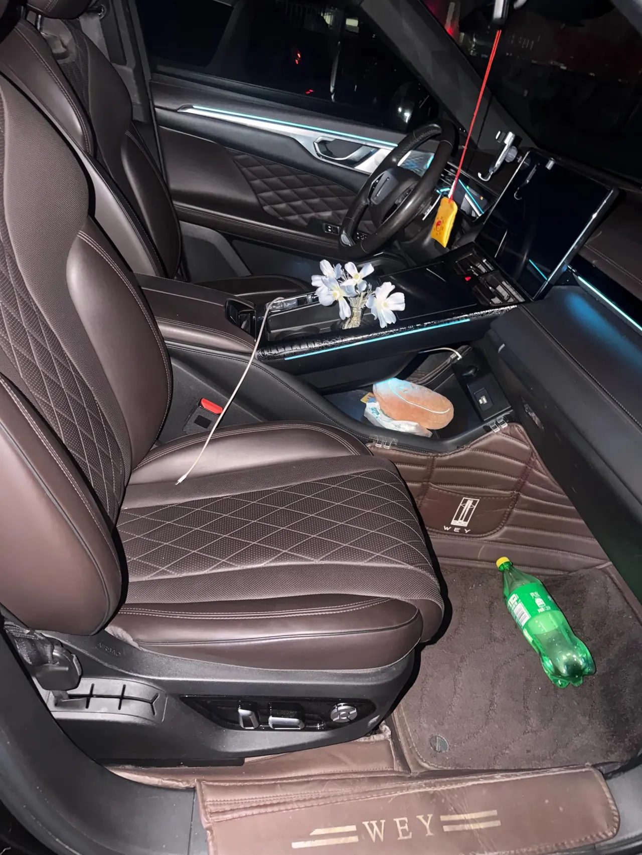 WEY 2021 mocha 48V 2.0T two-drive special alcohol version automatic gear 6