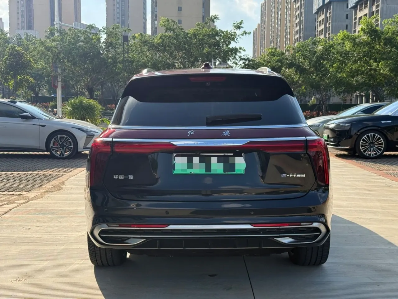 HongQi 2021 E-HS9 flag, collar 4 automatic gear 8