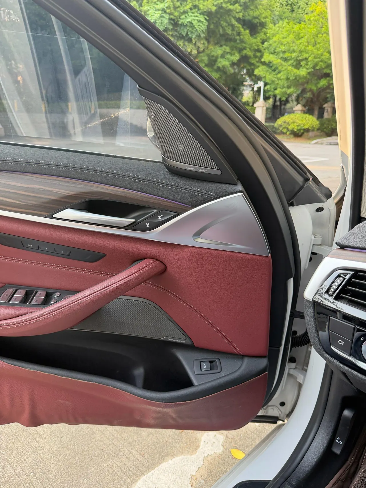 BMW 5 Series 2021 530Li 2.0T Leading Luxury Suit Automatic Gear 2