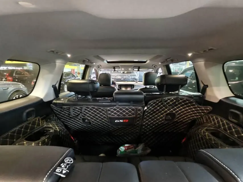 Chuanqi 2020 GS8 2.0T 390T Two-Drive Deluxe Zhilian Commemorative Edition Seven-seat Automatic Gear 5