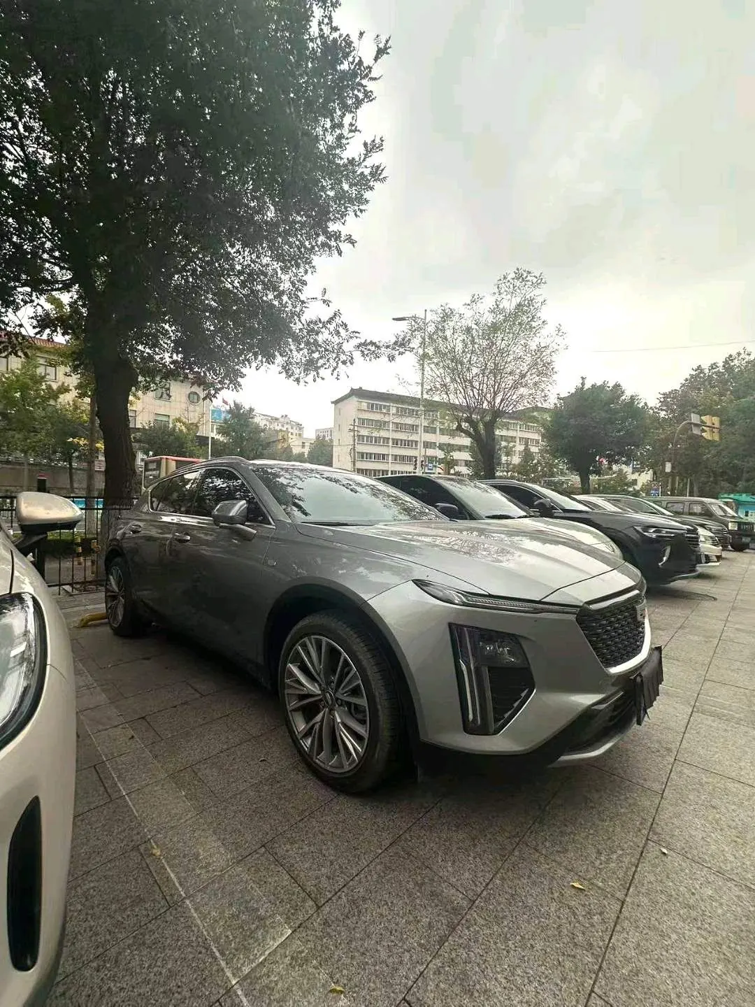 Cadillac 2023 GT4 48V 1.5T 25T Luxury Automatic Gear 2