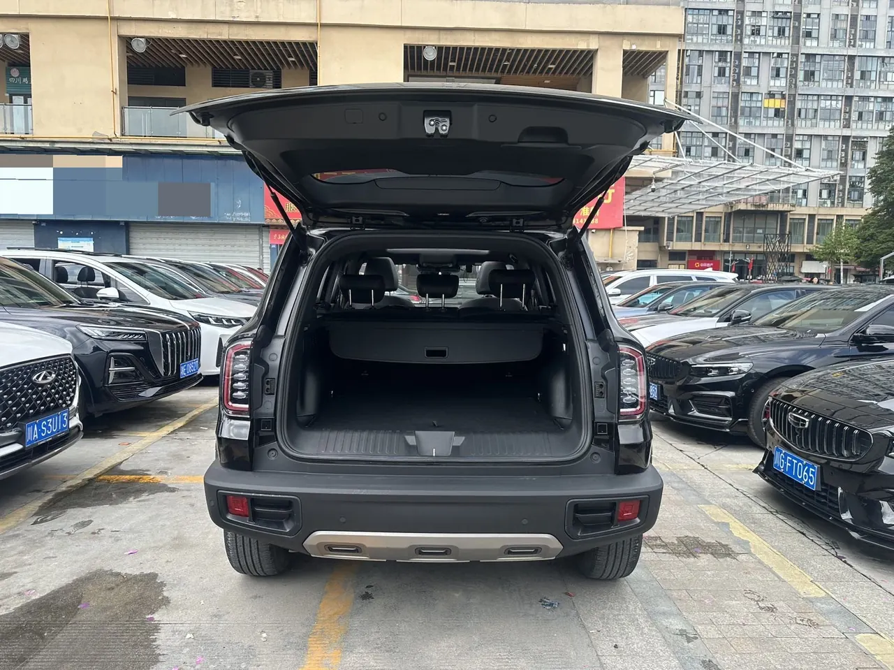 Haval 2021 Big Dogs 1.5T Border Animal Husbandry Wangcai Edition Automatic Gear 8