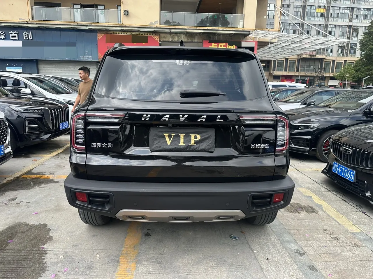 Haval 2021 Big Dogs 1.5T Border Animal Husbandry Wangcai Edition Automatic Gear 9