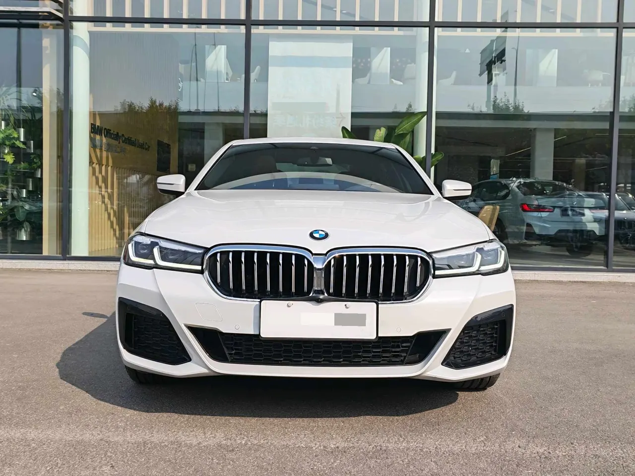 BMW 5 Series 2023 530Li 2.0T Leading M Sports Suit Automatic Gear 2