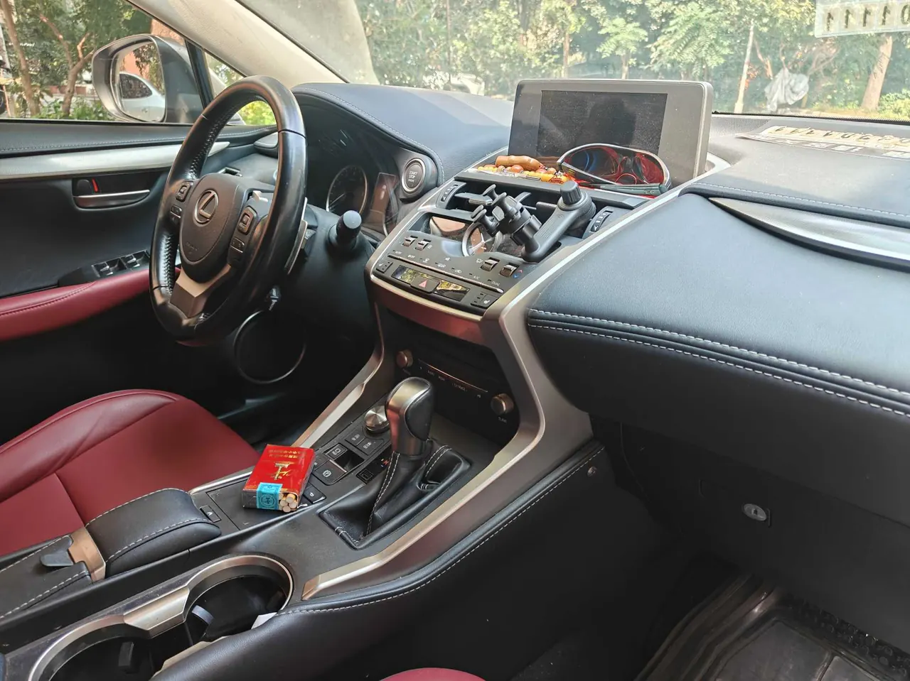 Lexus NX (Imported) 2020 NX200 2.0 Stepless Automatic Gear 5