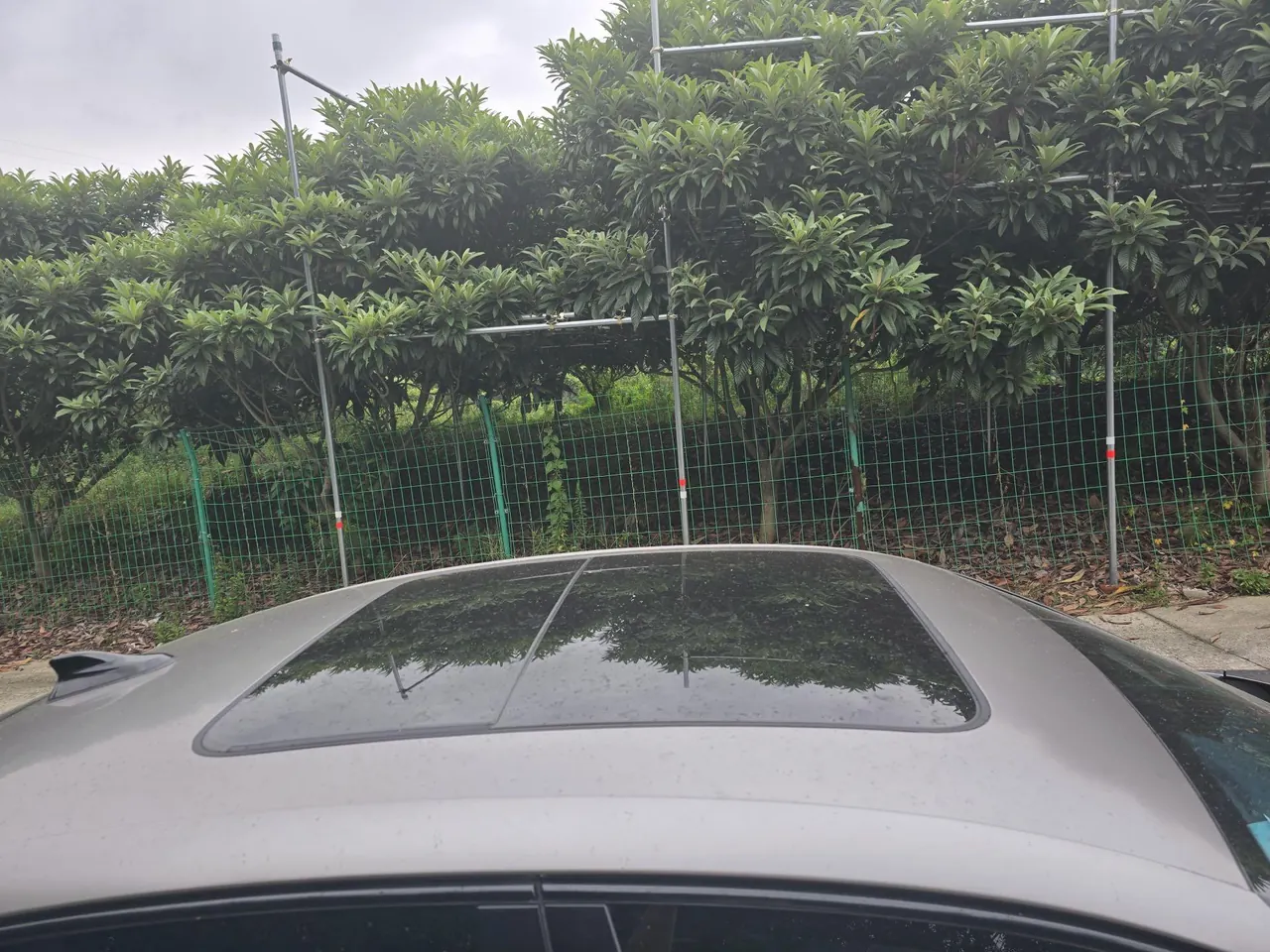 Volkswagen 2025 Passat Pro 2.0TSI 380TSI Star Dragon Edition Automatic 9