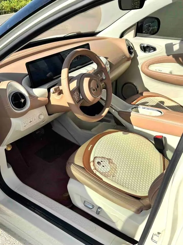 WuLing 2025 Plantronics 333km LingBox Enjoy Automatic Gear 4