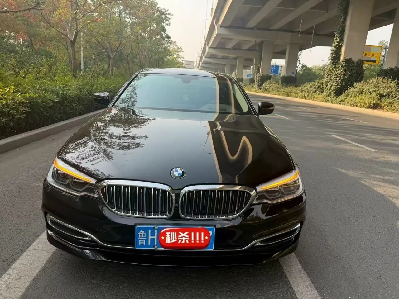 BMW 5 Series 2020 530Li 2.0T Premium Luxury Suit Automatic Gear 2