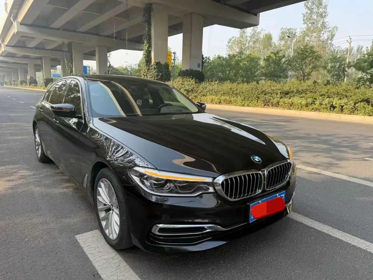 BMW 5 Series 2020 530Li 2.0T Premium Luxury Suit Automatic Gear 3