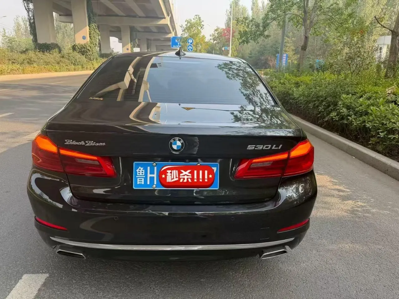 BMW 5 Series 2020 530Li 2.0T Premium Luxury Suit Automatic Gear 5