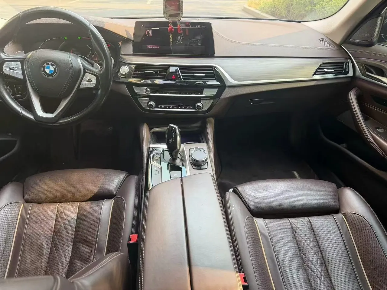 BMW 5 Series 2020 530Li 2.0T Premium Luxury Suit Automatic Gear 9