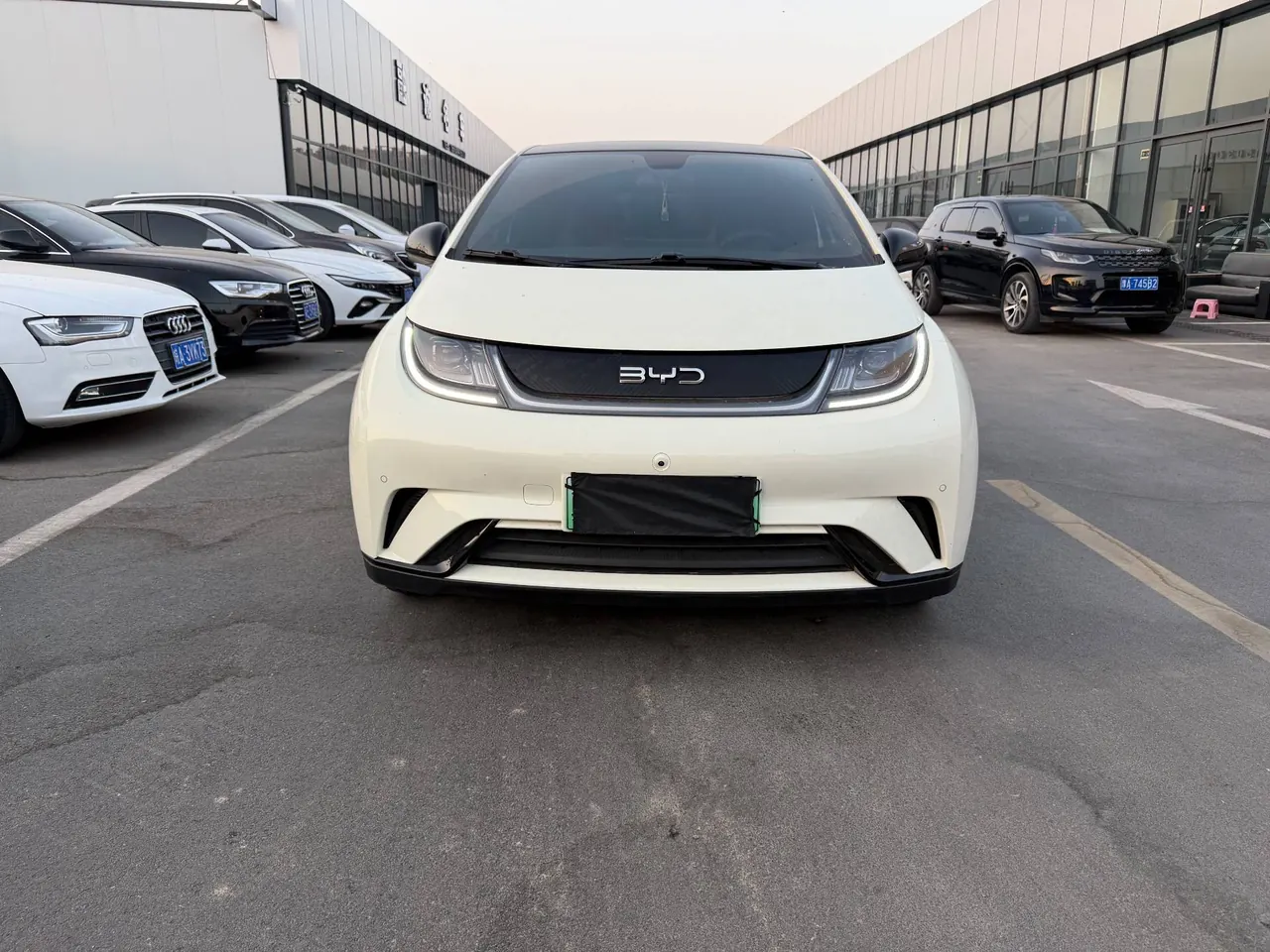 BYD 2023 Dolphin 420km Fashion Edition Automatic 2