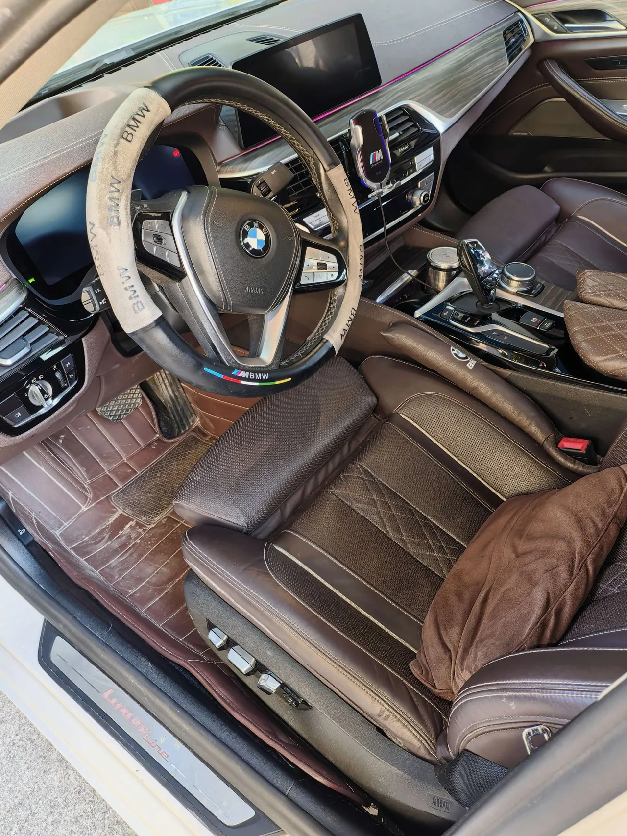 BMW 5 Series 2020 530Li 2.0T Premium Luxury Suit Automatic Gear 6