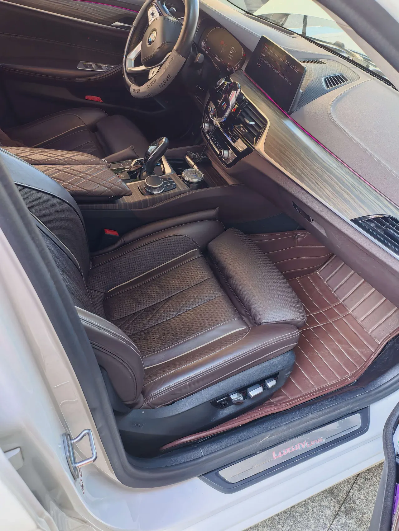 BMW 5 Series 2020 530Li 2.0T Premium Luxury Suit Automatic Gear 7