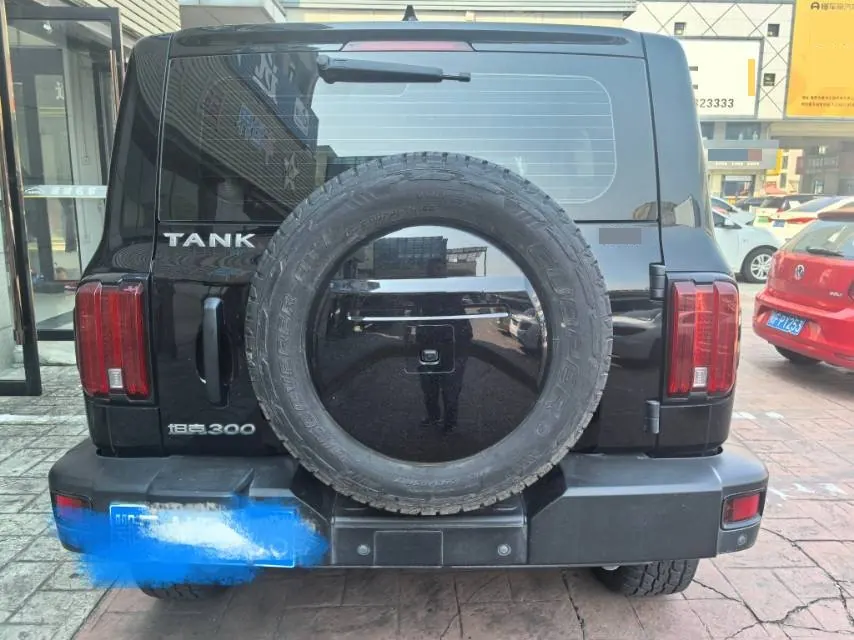 Tank 2021 Tank 300 2.0T Off-road Conqueror Automatic 3