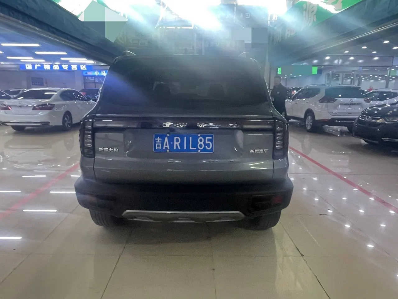 Haval 2024 big dog 1.5T Labrador version automatic gear 5