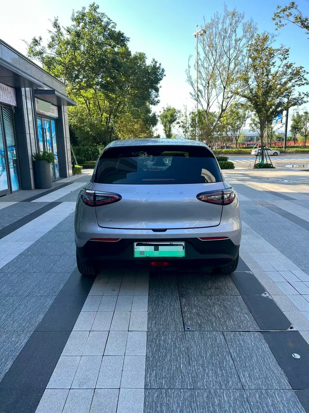Geely 2025 Star Wish 310km Youth Edition Automatic Gear 8