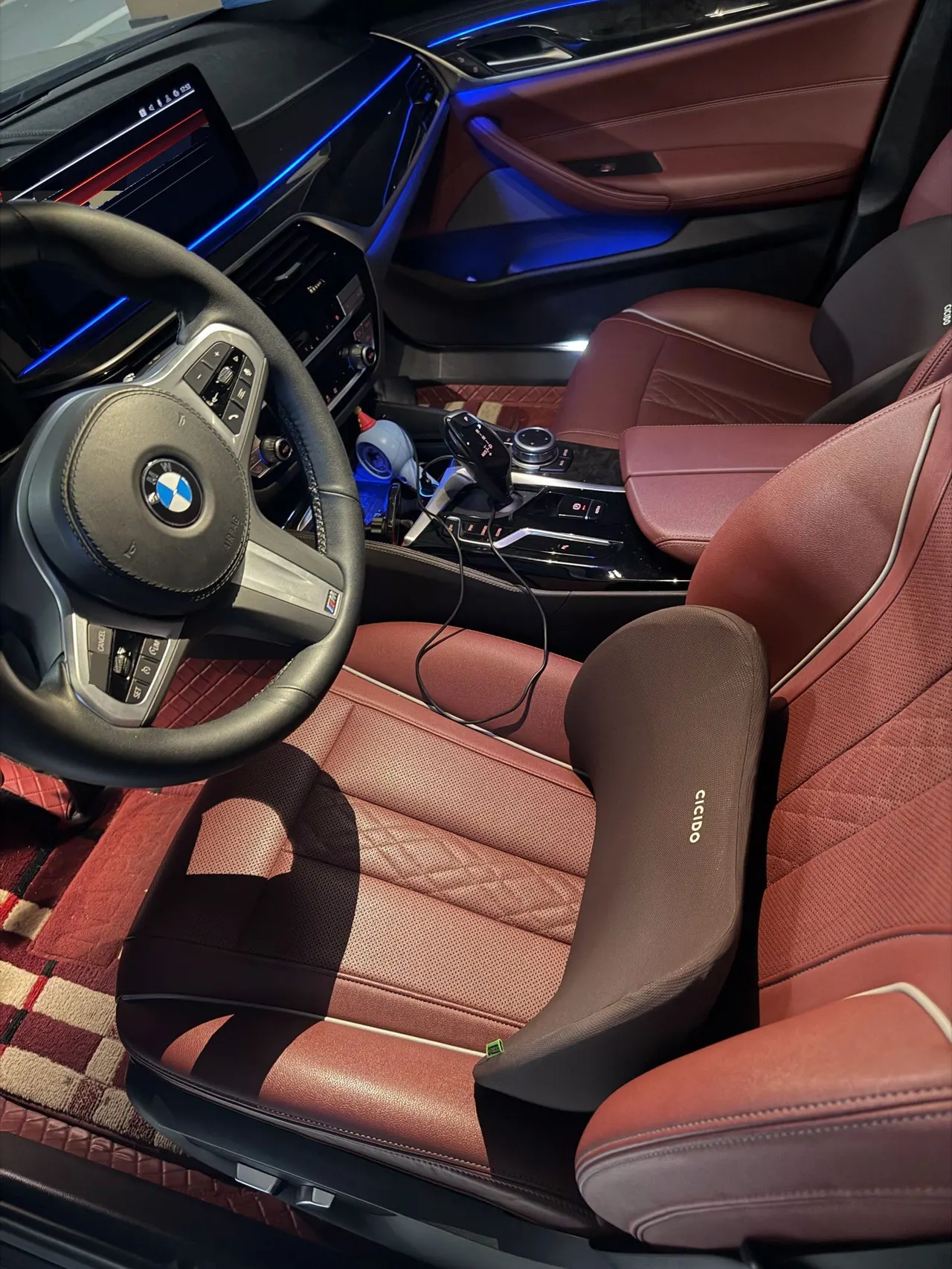 BMW 5 Series 2022 525Li 2.0T M Sports Suit (Modified) Automatic Gear 2