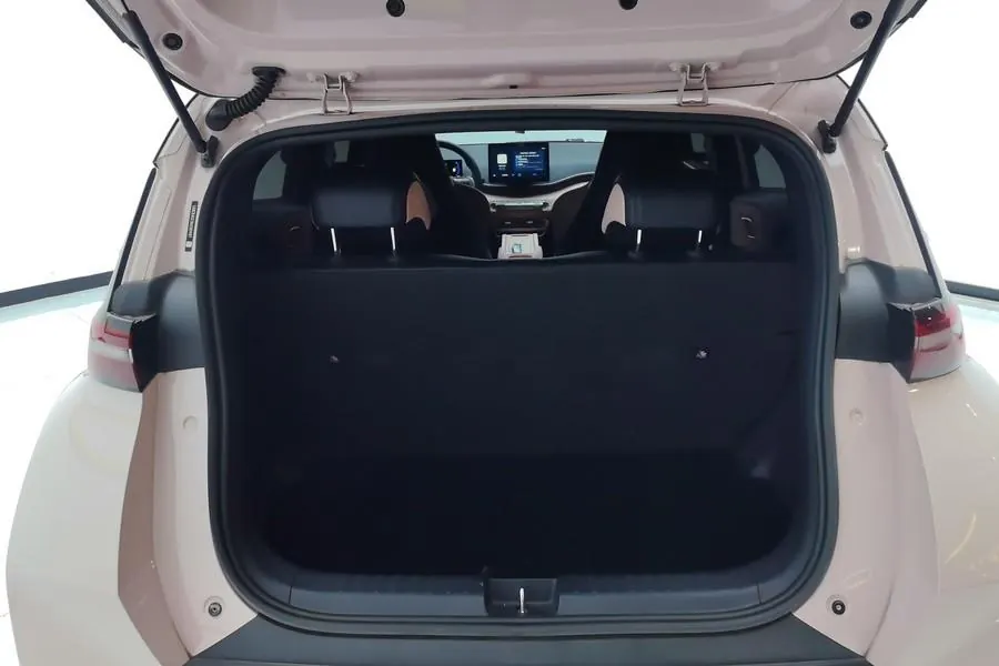 BYD 2024 Seagull Glory Edition 405km Flying Edition Automatic Gear 6