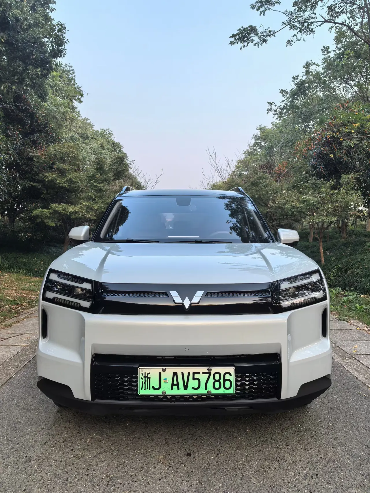 WuLing 2026 Starlight 560 500km Luxury Automatic Gear 2