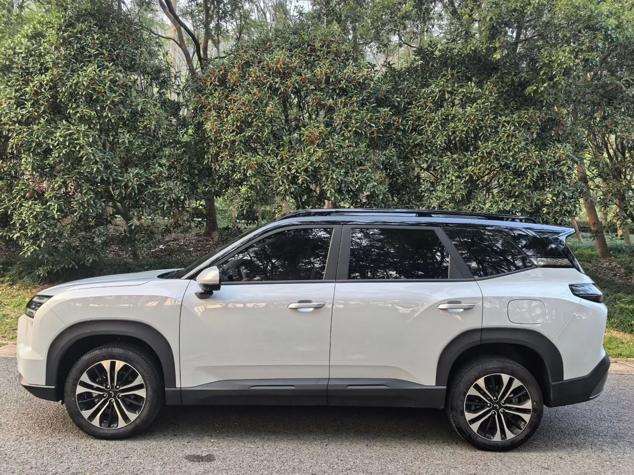 WuLing 2026 Starlight 560 500km Luxury Automatic Gear 3