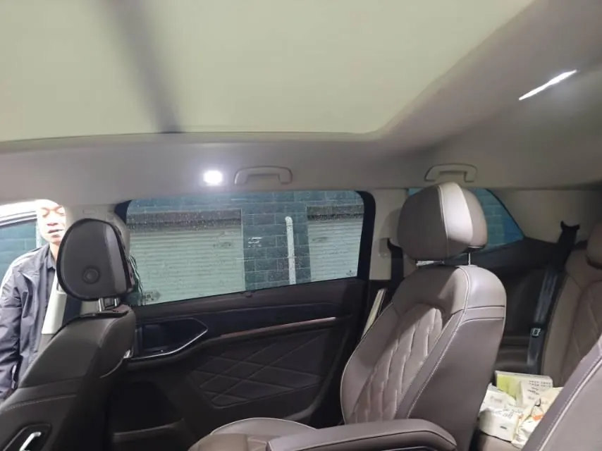 Volkswagen 2023 Wei (Viloran) 2.0TSI 380TSI Premium Edition (Modified) Automatic Gear 6