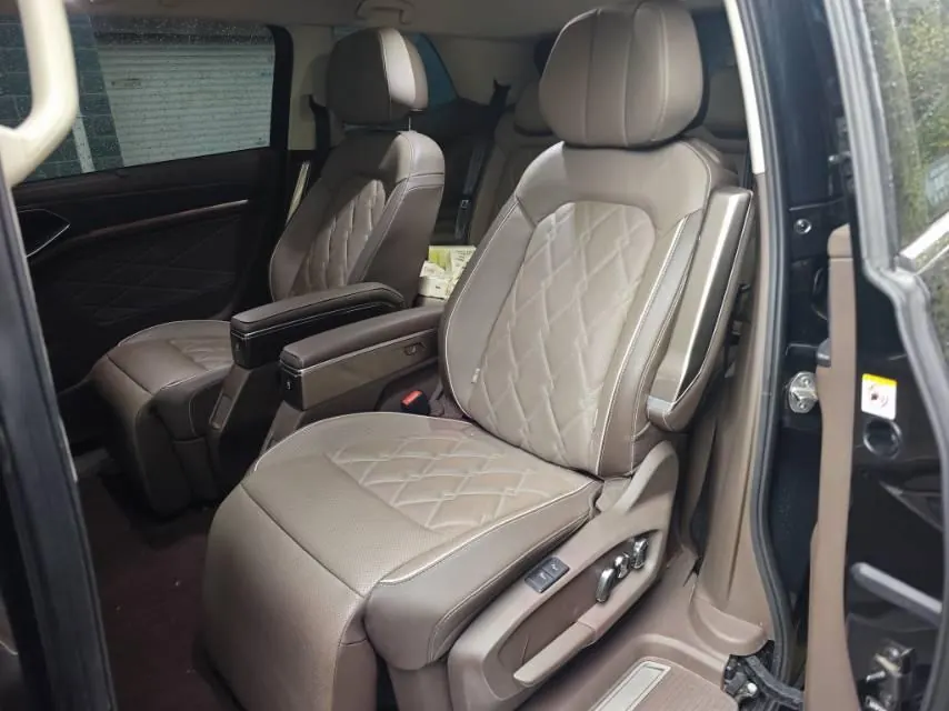 Volkswagen 2023 Wei (Viloran) 2.0TSI 380TSI Premium Edition (Modified) Automatic Gear 7