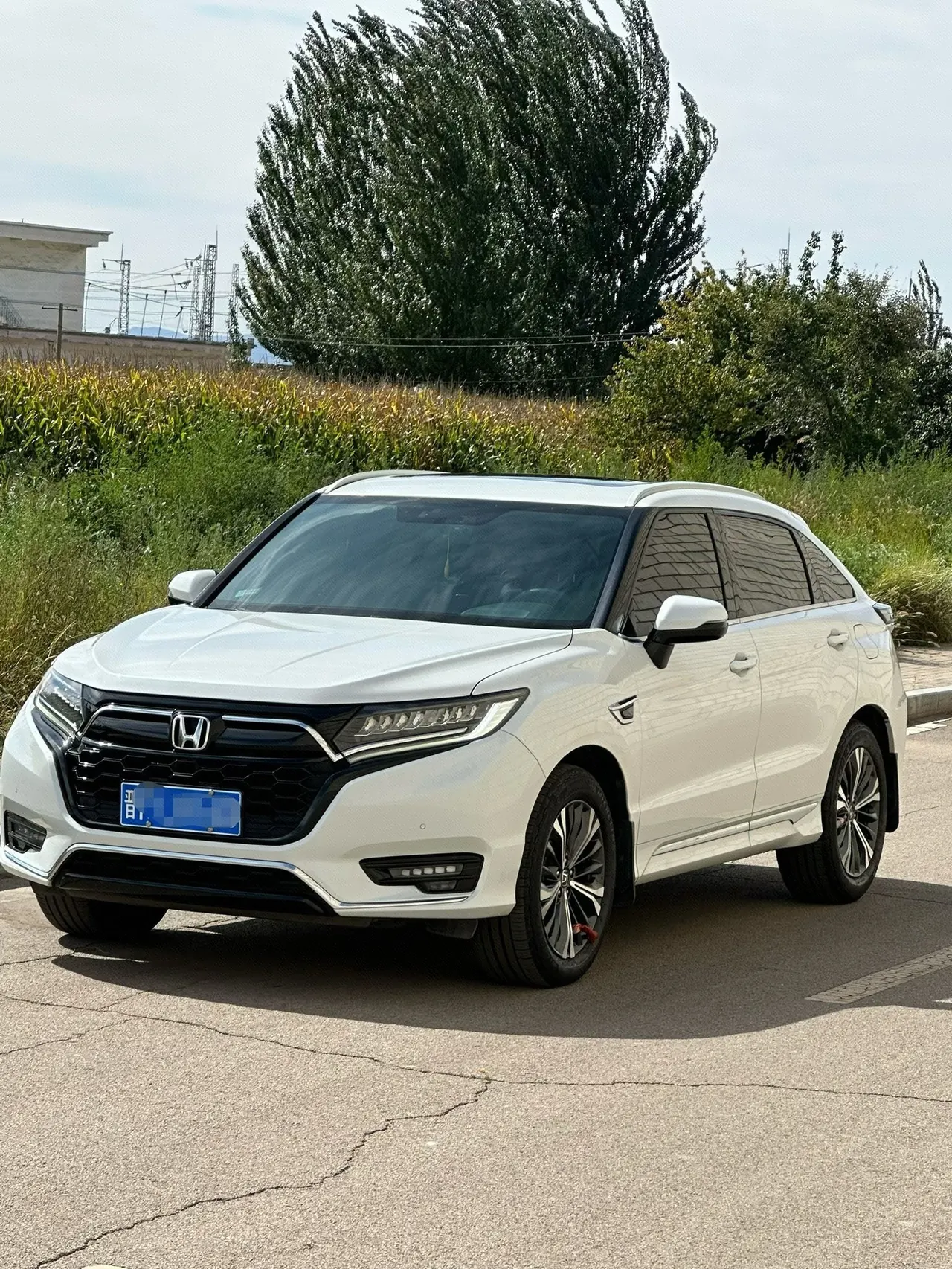 Honda 2020 UR-V 2.0T 370TURBO two-drive elegant version of automatic gear - View 1