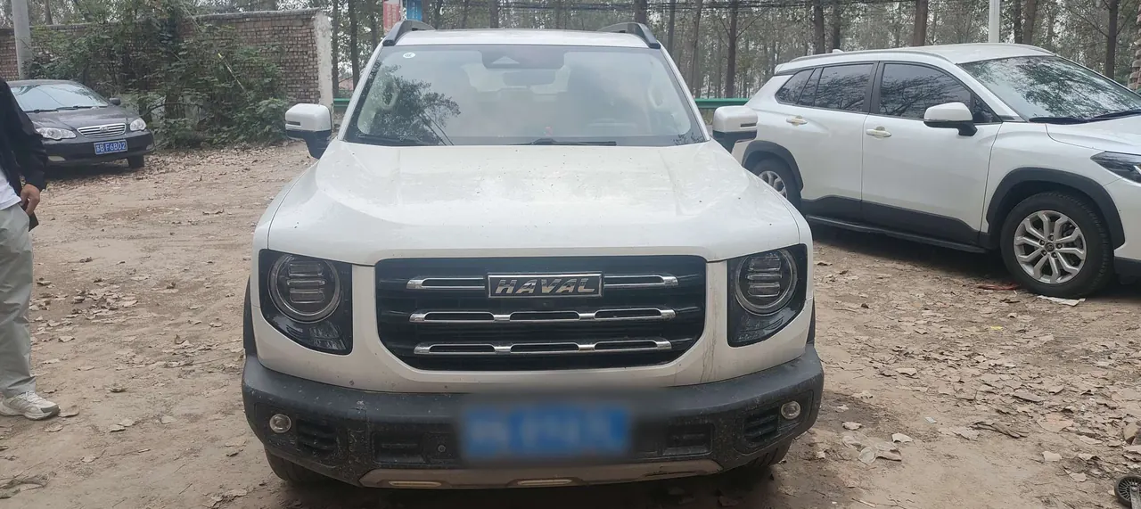 Haval 2020 big dog 1.5T Labrador version automatic gear 3