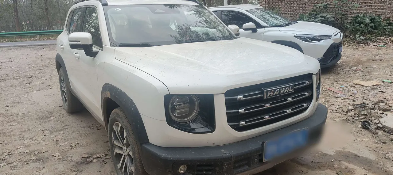 Haval 2020 big dog 1.5T Labrador version automatic gear 4