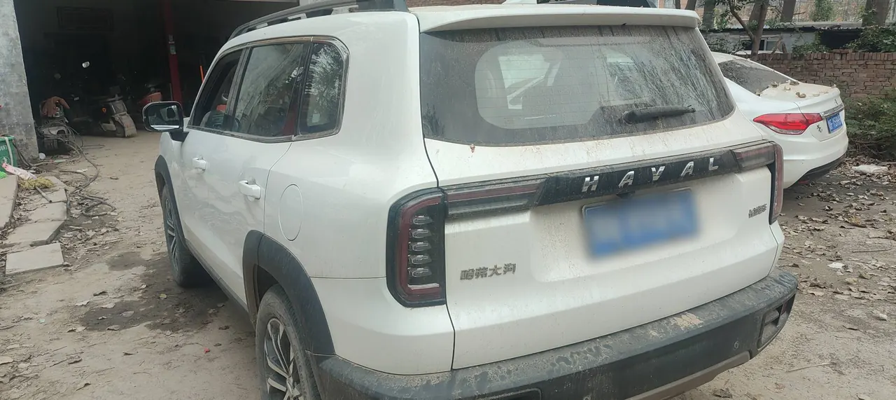 Haval 2020 big dog 1.5T Labrador version automatic gear 5