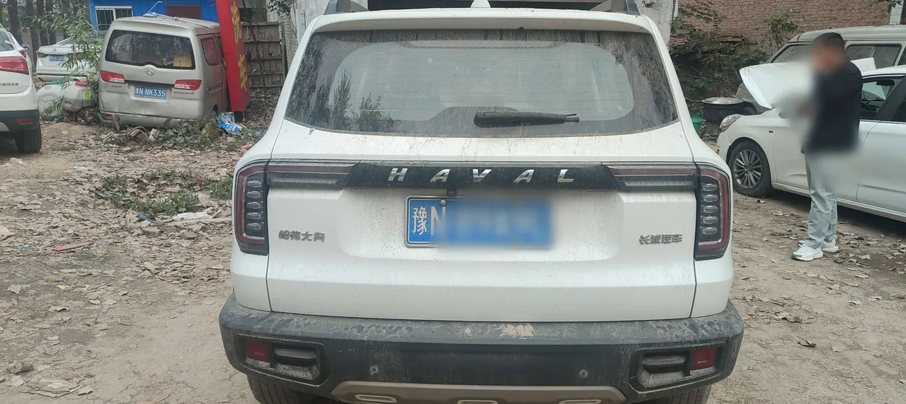 Haval 2020 big dog 1.5T Labrador version automatic gear 6