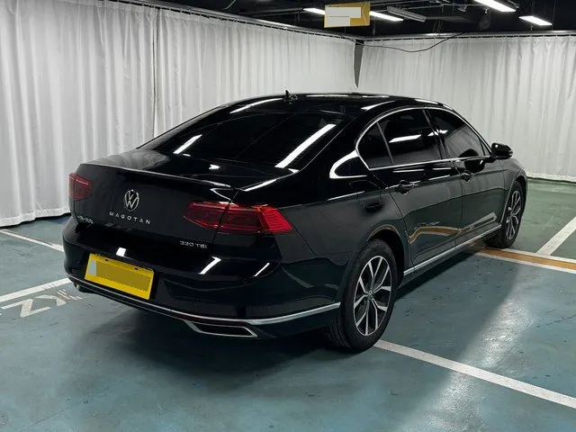 Volkswagen 2020 Magotan 2.0TSI 330TSI Leading Automatic 10