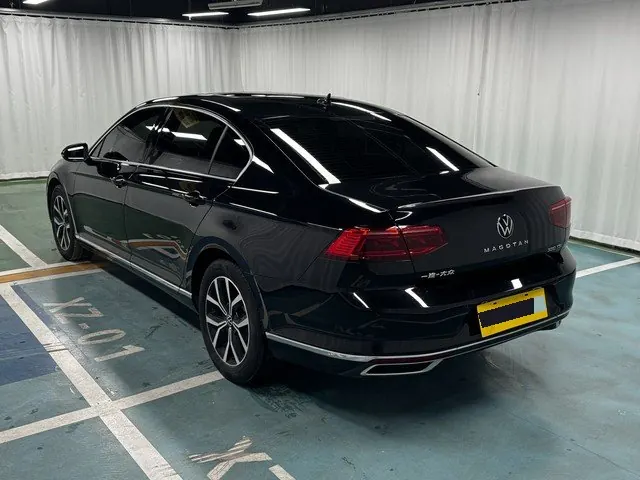 Volkswagen 2020 Magotan 2.0TSI 330TSI Leading Automatic 11