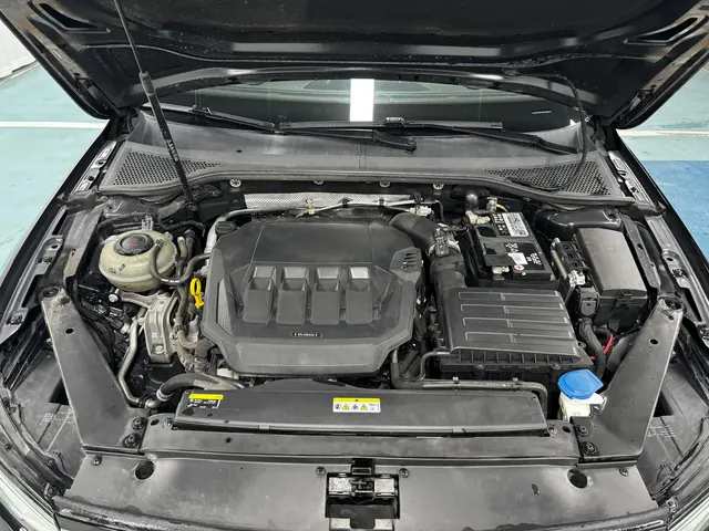 Volkswagen 2020 Magotan 2.0TSI 330TSI Leading Automatic 15