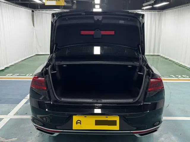 Volkswagen 2020 Magotan 2.0TSI 330TSI Leading Automatic 3