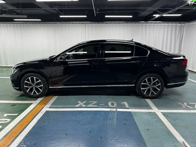 Volkswagen 2020 Magotan 2.0TSI 330TSI Leading Automatic 8