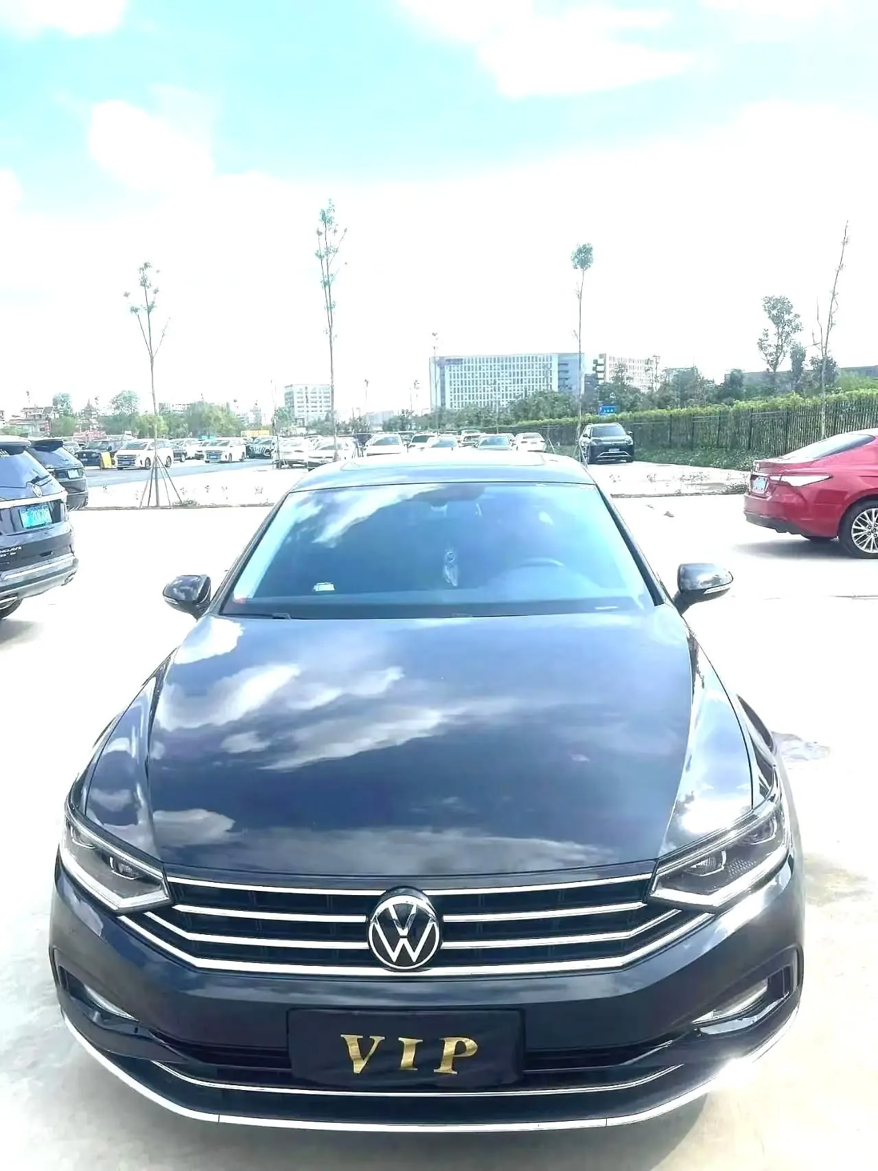 Volkswagen 2020 Magotan 2.0TSI 330TSI Leading Automatic 2