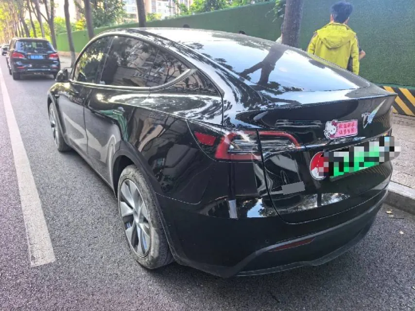 Tesla 2021 Model Y Standard Endurance Rear Drive Automatic Gear 2