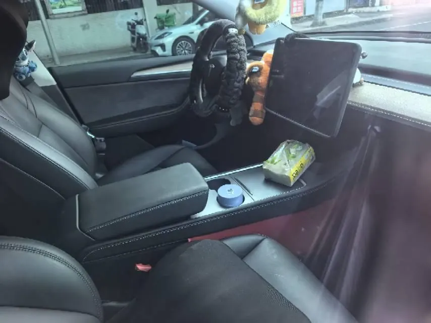 Tesla 2021 Model Y Standard Endurance Rear Drive Automatic Gear 3