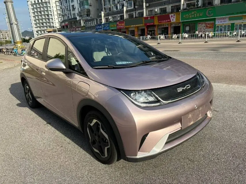 BYD 2021 Dolphin 405km Fashion Edition Automatic 2