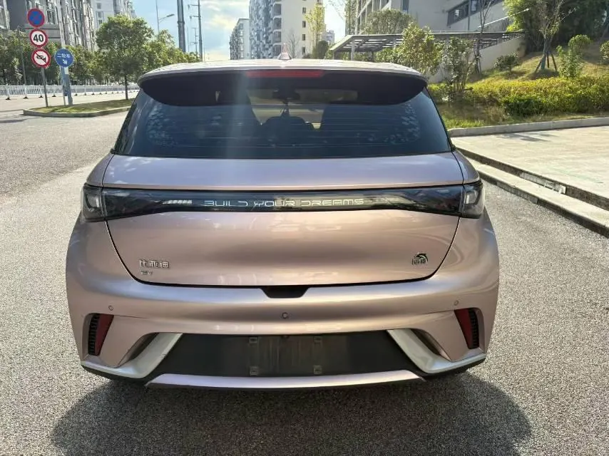 BYD 2021 Dolphin 405km Fashion Edition Automatic 3