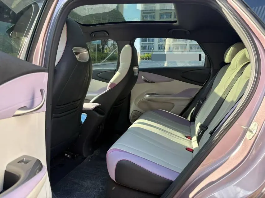 BYD 2021 Dolphin 405km Fashion Edition Automatic 6