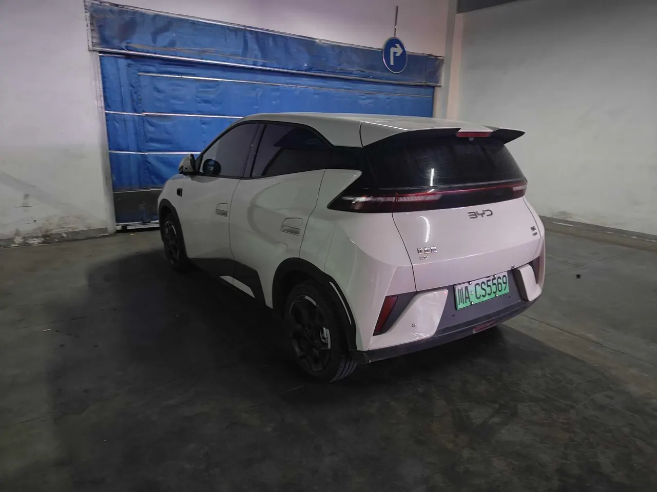 BYD 2025 Seagull Smart Driving Edition 305km Free Edition Automatic Gear 8