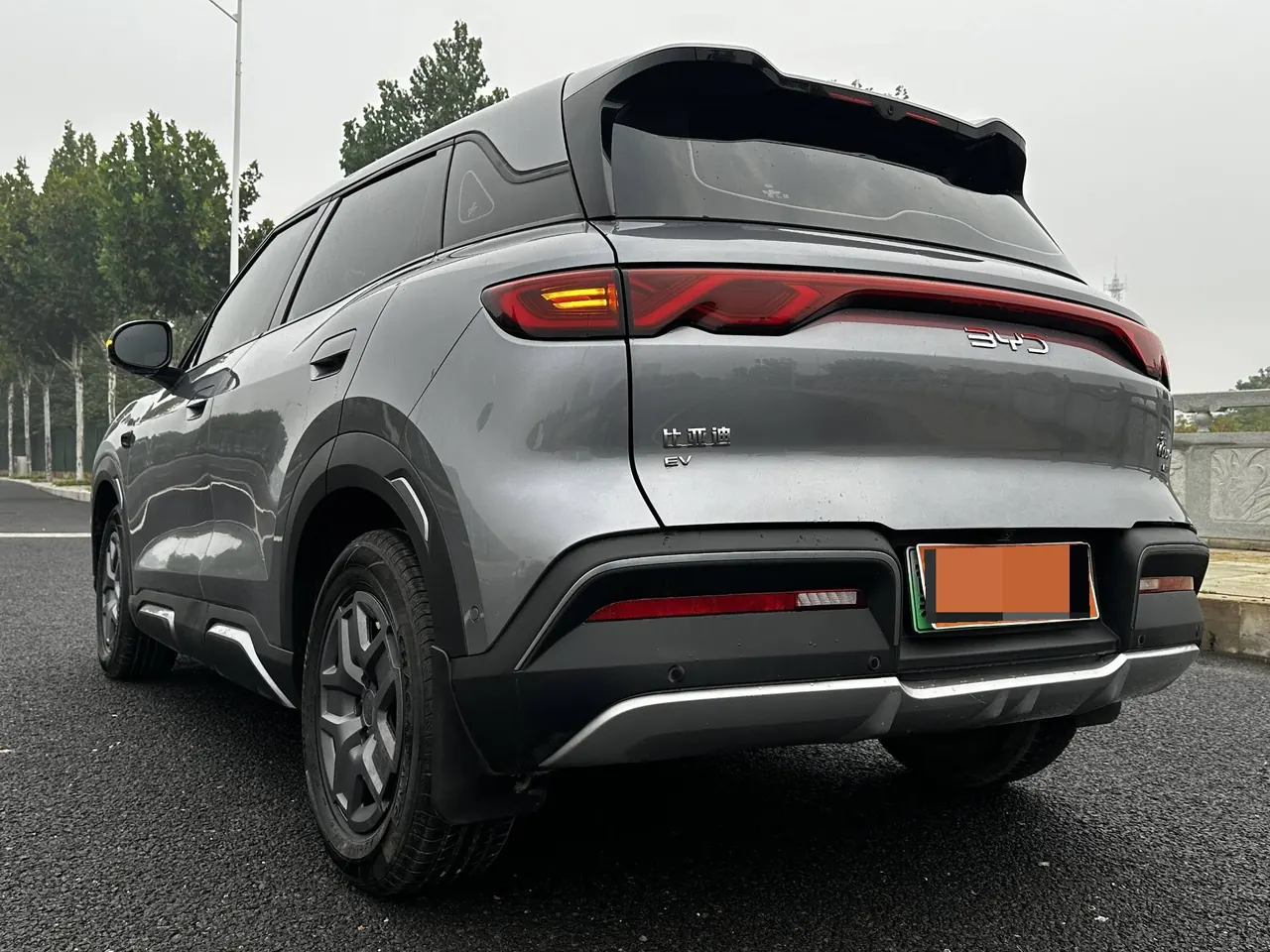 BYD 2025 Yuan UP Smart Driving 401KM Vital Automatic Gear 4