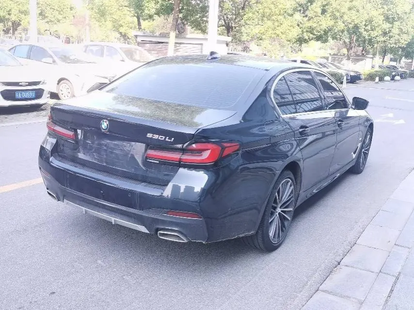 BMW 5 Series 2023 530Li 2.0T Leading M Sports Suit (Modified) Automatic Gear 4