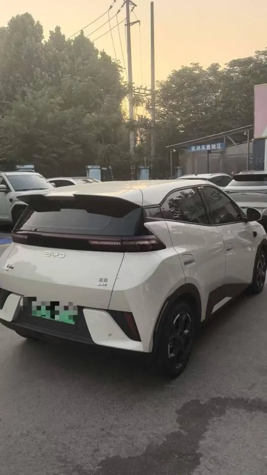 BYD 2026 seagulls 305km free version automatic gear 5