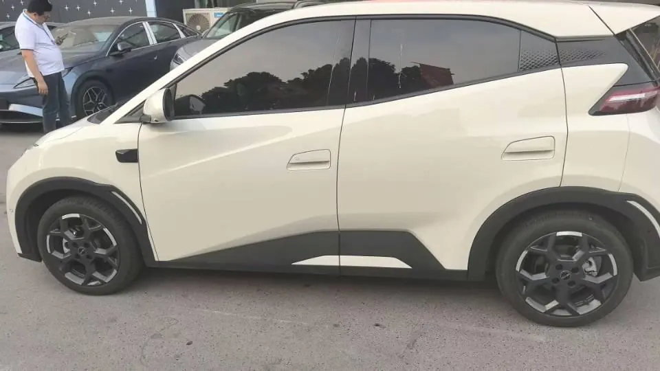 BYD 2026 seagulls 305km free version automatic gear 6
