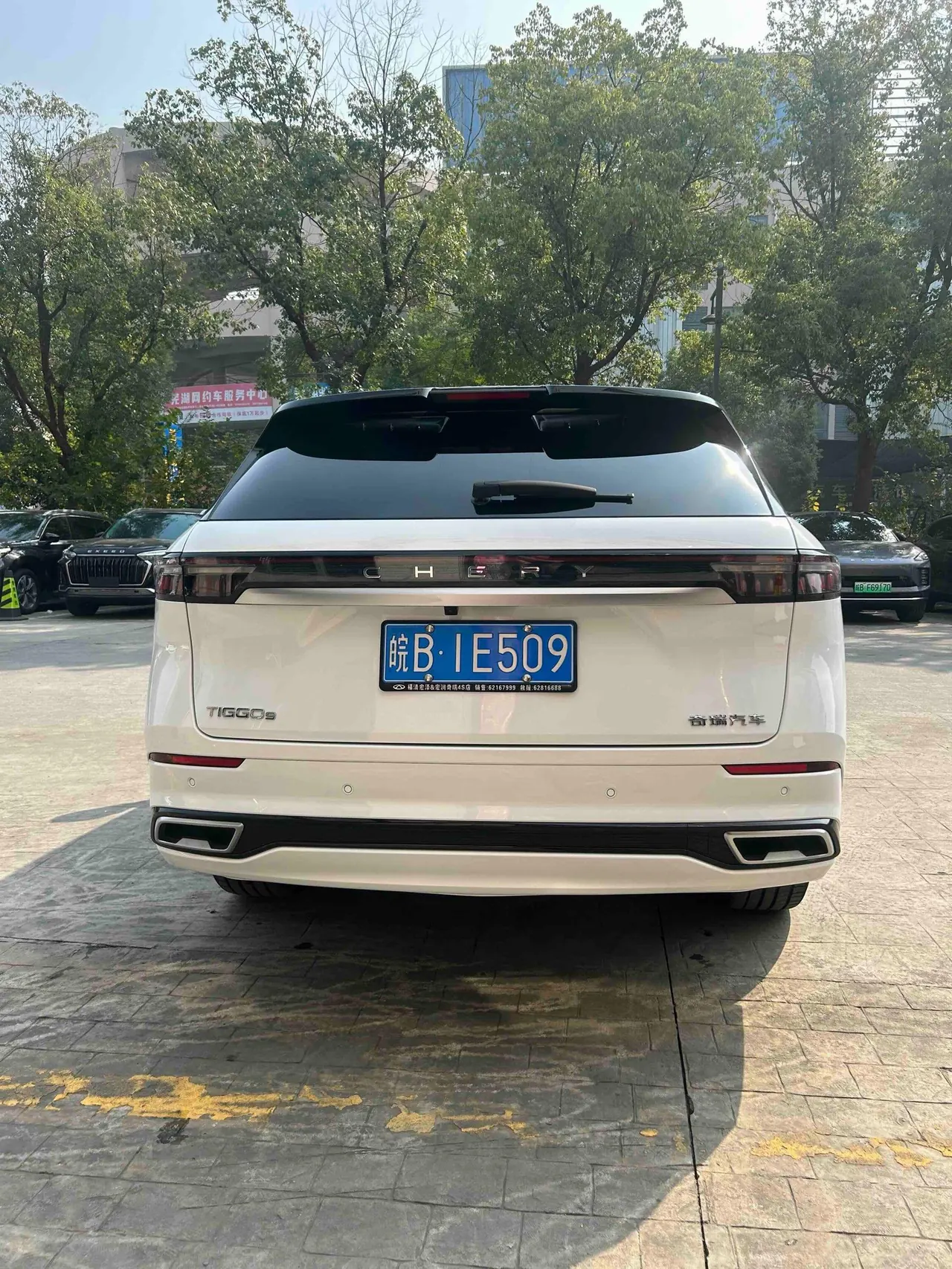 Chery 2025 Ruihu 9 2.0T Two-wheel Drive Premium Edition 5-seat Automatic Gear 8