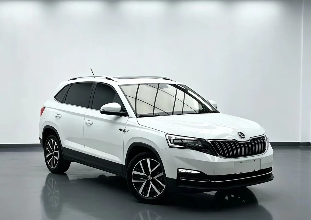 Skoda 2023 Comic 1.5 Comfortable Edition (Modified) Automatic Gear 3